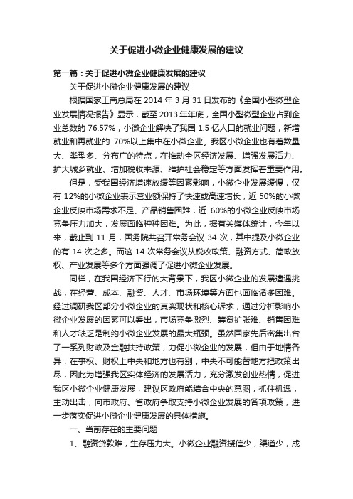 关于促进小微企业健康发展的建议