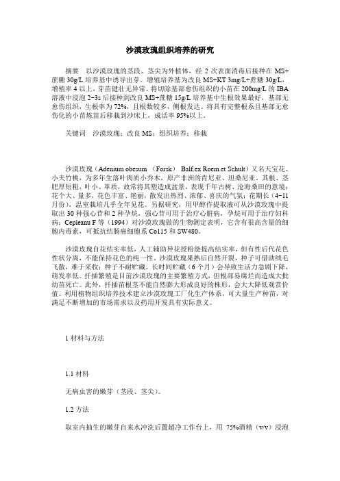 沙漠玫瑰组织培养的研究