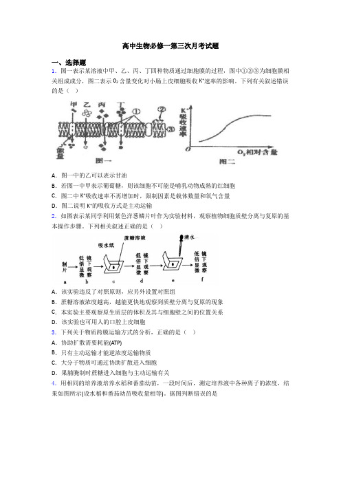 高中生物必修一第三次月考试题