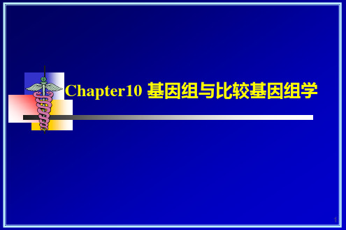 10基因组与比较基因组学