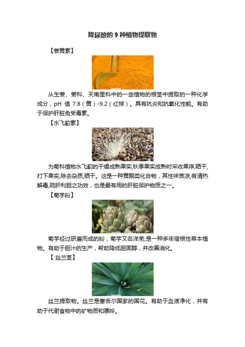 降尿酸的9种植物提取物