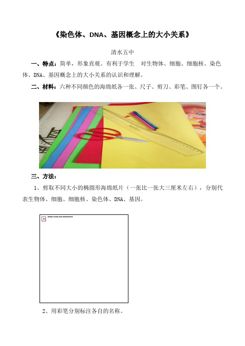 染色体、DNA、基因概念上的大小关系