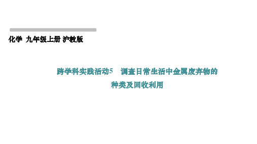 第6章跨学科实践活动5调查日常生活中金属废弃物的种类及回收利用课件2024-2025学年九上沪教版