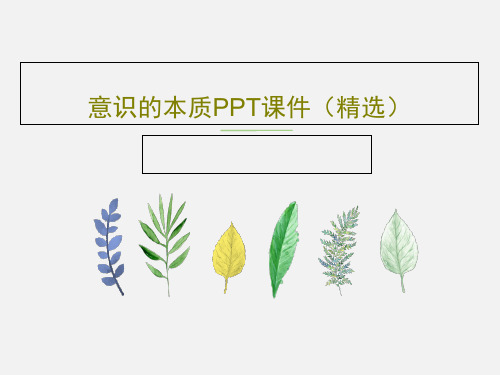 意识的本质PPT课件(精选)29页文档