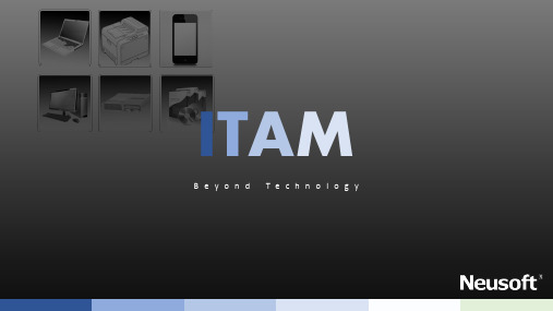 ITAM(IT资源管理)-V1.1