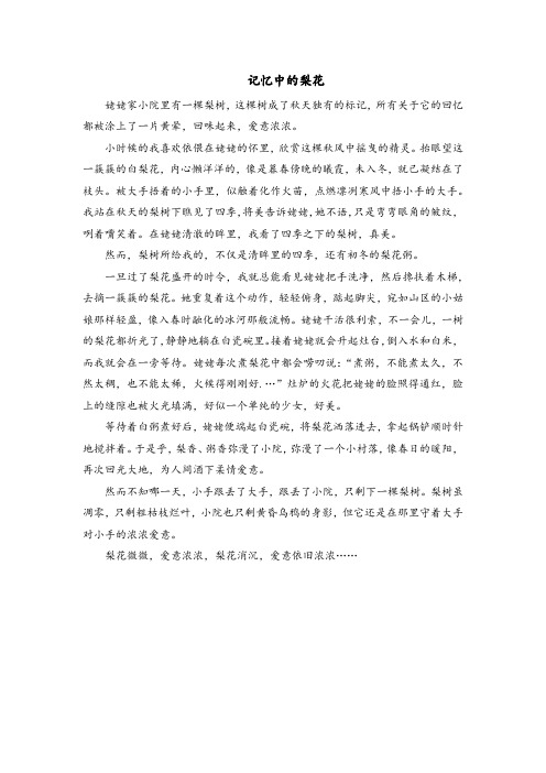 记忆中的梨花