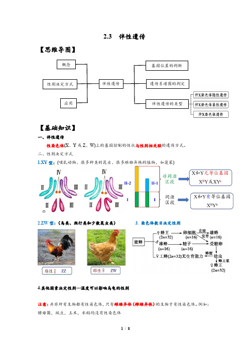 2.3伴性遗传背诵知识整理