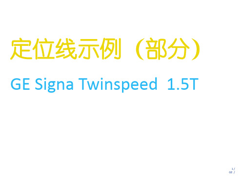 GE T磁共振操作指南 定位线示例 神经系统 