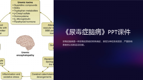 《尿毒症脑病》课件