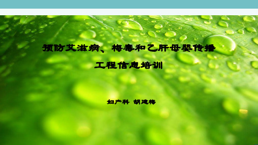 预防艾滋病梅毒和乙肝母婴传播阻断项目培训郭燕幻灯片PPT