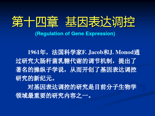 生物化学》ppt课件14.第十四章-基因表达调控