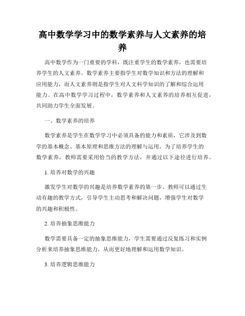 高中数学学习中的数学素养与人文素养的培养