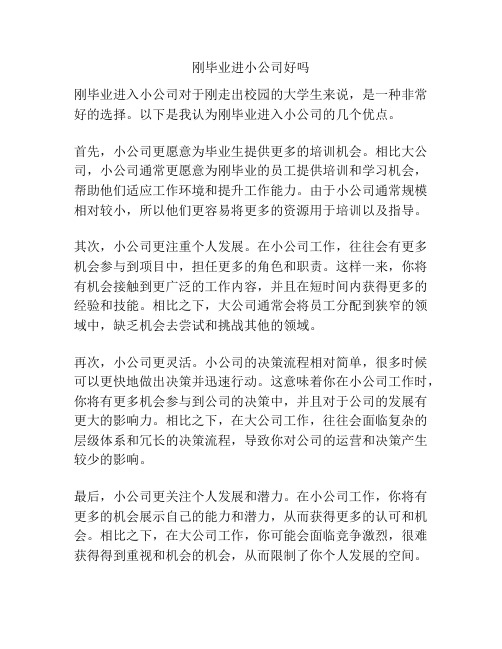 刚毕业进小公司好吗