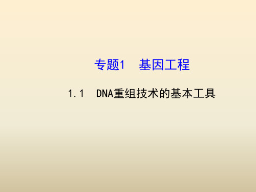 人教版高中生物选修三1.1《DNA重组技术的基本工具》ppt精讲课件