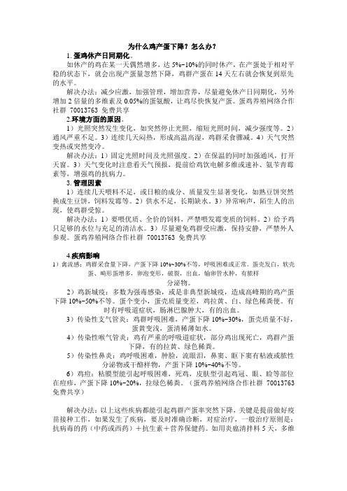 褐壳鸡为什么产蛋壳发白的蛋