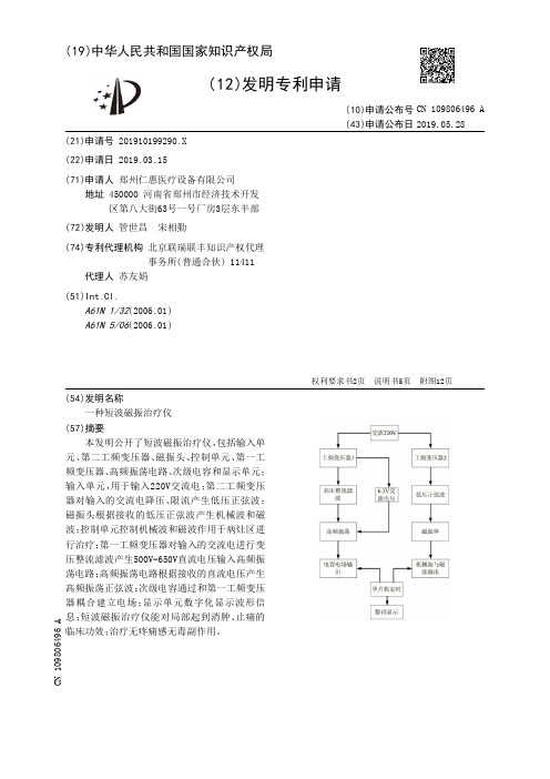 【CN109806496A】一种短波磁振治疗仪【专利】