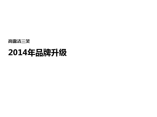 品牌升级ppt课件