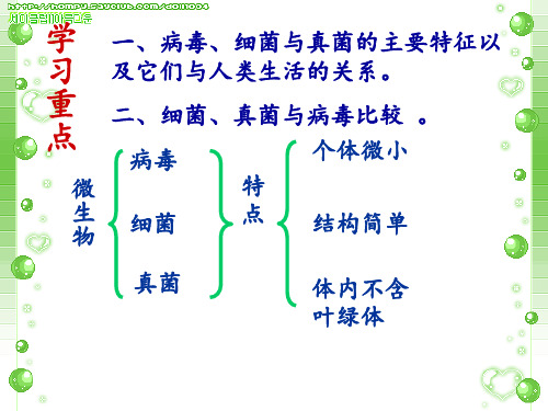 七年级生物生物圈中的微生物(病毒、细菌、真菌)(1)PPT课件