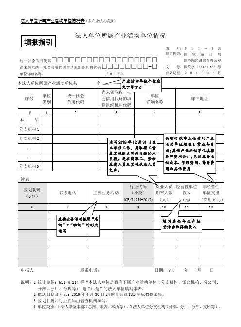 2-法人单位所属产业活动单位情况--填写指引