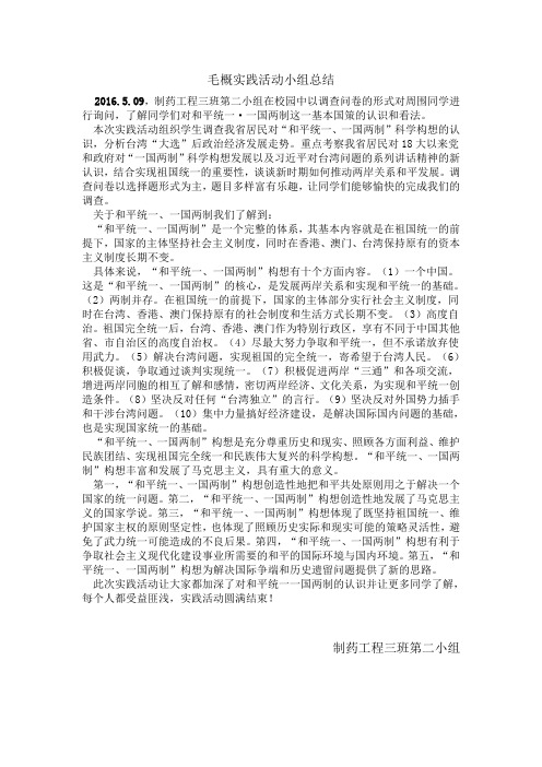 毛概实践活动小组总结