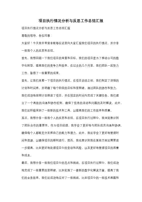 项目执行情况分析与反思工作总结汇报