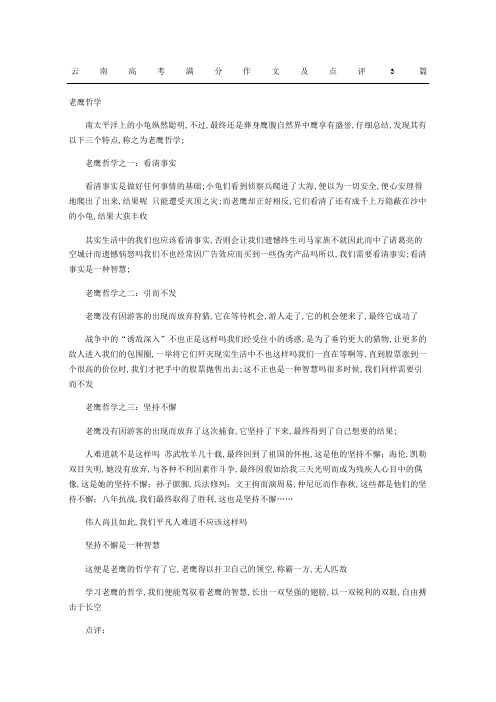 云南高考满分获奖作文及点评篇