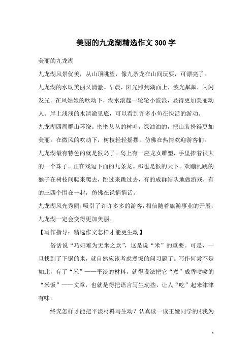 美丽的九龙湖精选作文300字