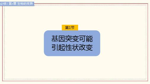 基因突变可能引起性状改变课件高一下学期生物浙科版必修2