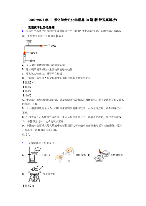 2020-2021年 中考化学走进化学世界20篇(附带答案解析)