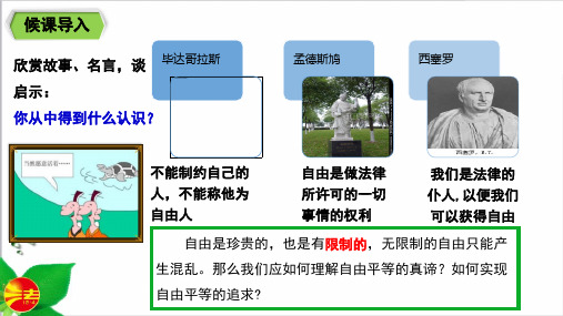 人教版道德与法治八年级下册《自由平等的真谛》课件
