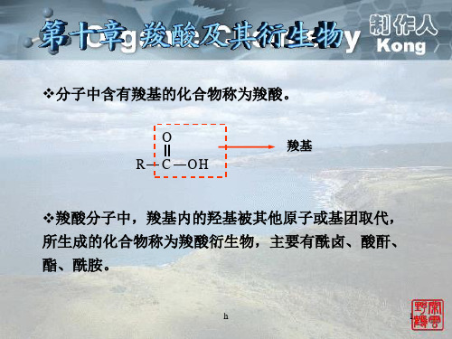 [化学]羧酸及其衍生物