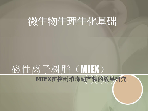 磁性离子树脂(MIEX)