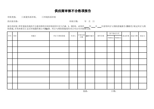 供应商审核不合格项报告