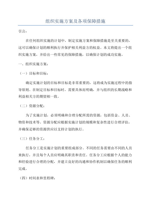 组织实施方案及各项保障措施