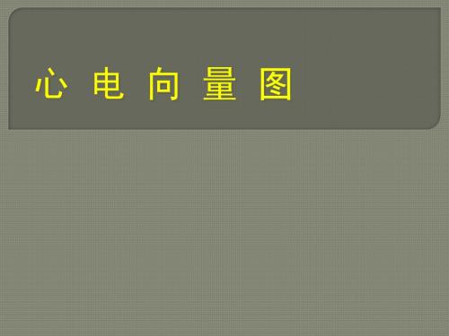 心电向量的概念1