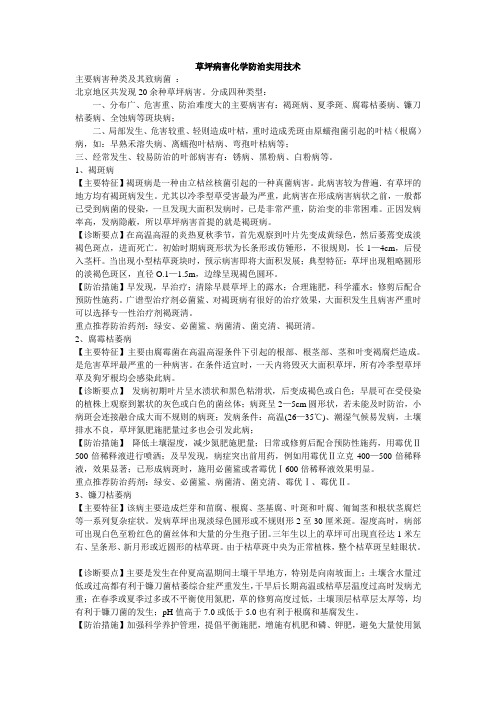 草坪病害化学防治实用技术