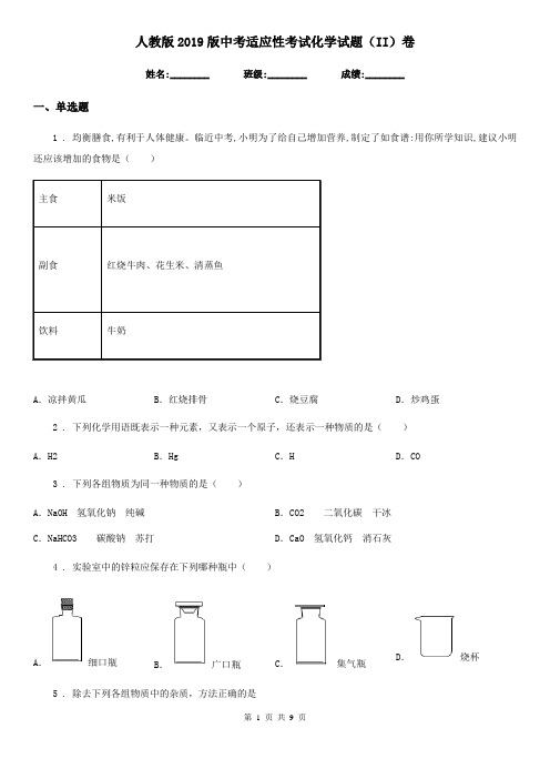 人教版2019版中考适应性考试化学试题(II)卷