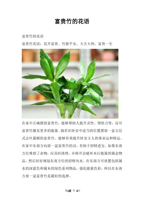 富贵竹的花语