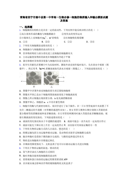 青海省西宁市湟中县第一中学高一生物必修一细胞的物质输入和输出模拟试题及答案