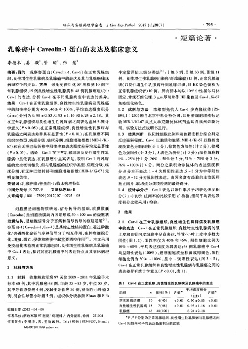 乳腺癌中Caveolin-1蛋白的表达及临床意义