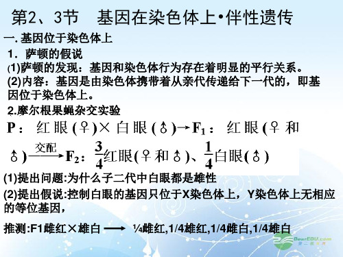 高考生物一轮复习 基因在染色体上,伴性遗传课件