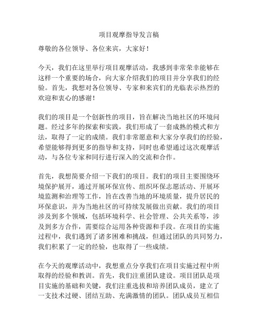 项目观摩指导发言稿