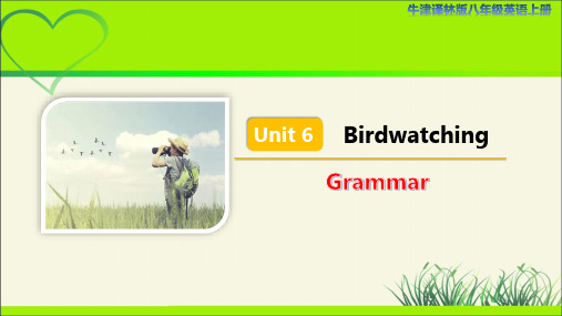 牛津译林版八年级英语上册Unit 6 Birdwatching Grammar示范公开课教学课件