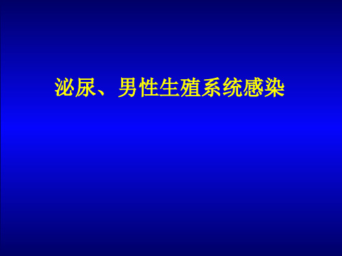 泌尿、男性生殖系统感染研究学习课件