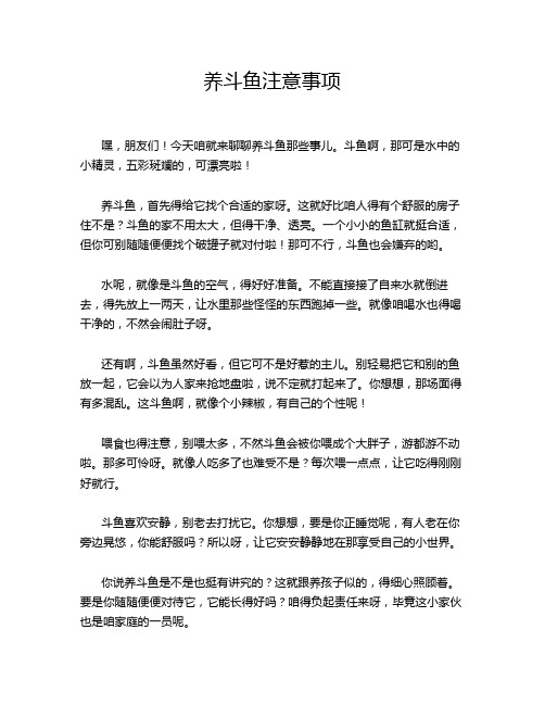 养斗鱼注意事项