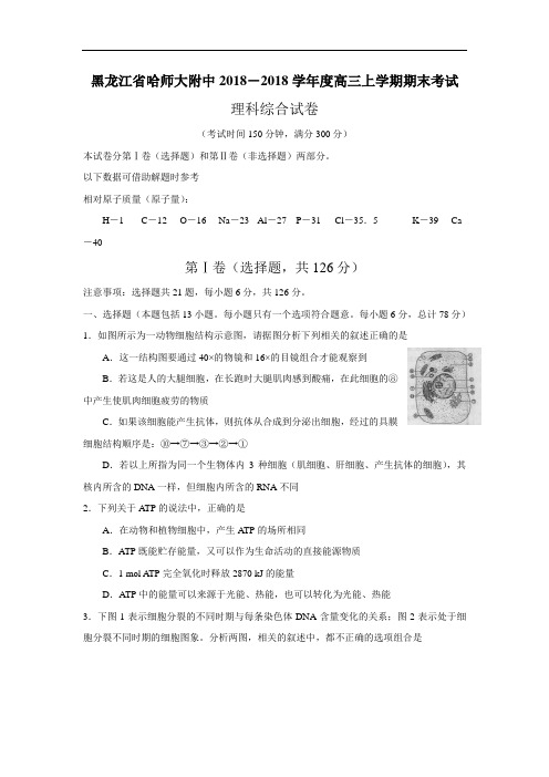 最新-2018黑龙江省哈师大附中高三上学期期末 精品