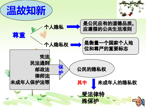 粤教版初二下册政治6.3保护个人隐私PPT课件(7)