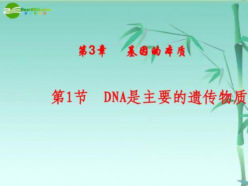 高考生物 DNA是主要的遗传物质课件 新人教版