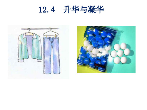 新沪科版全一册九年级物理上册教学课件12.4升华与凝华(共17张PPT)