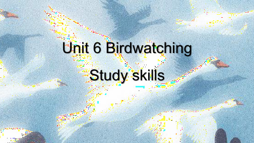 牛津译林版2020-2021学年八年级英语上册Unit6 Birdwatching Study skills第五课时课件